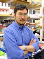 Lab Image